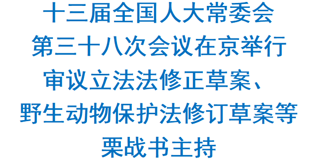 upfile