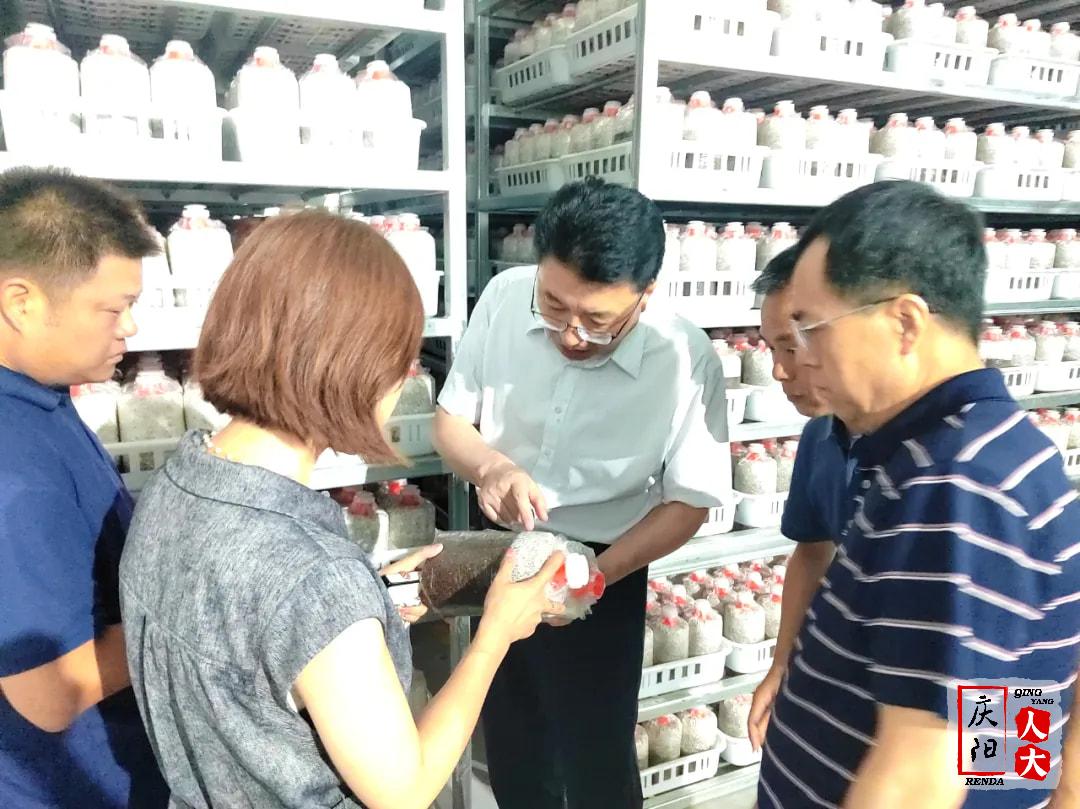 赵立新在宁县调研包抓的市列重点民营企业投资项目